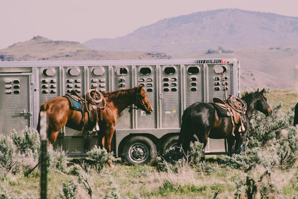 Why Montana Should Be Your Next Vacation Destination